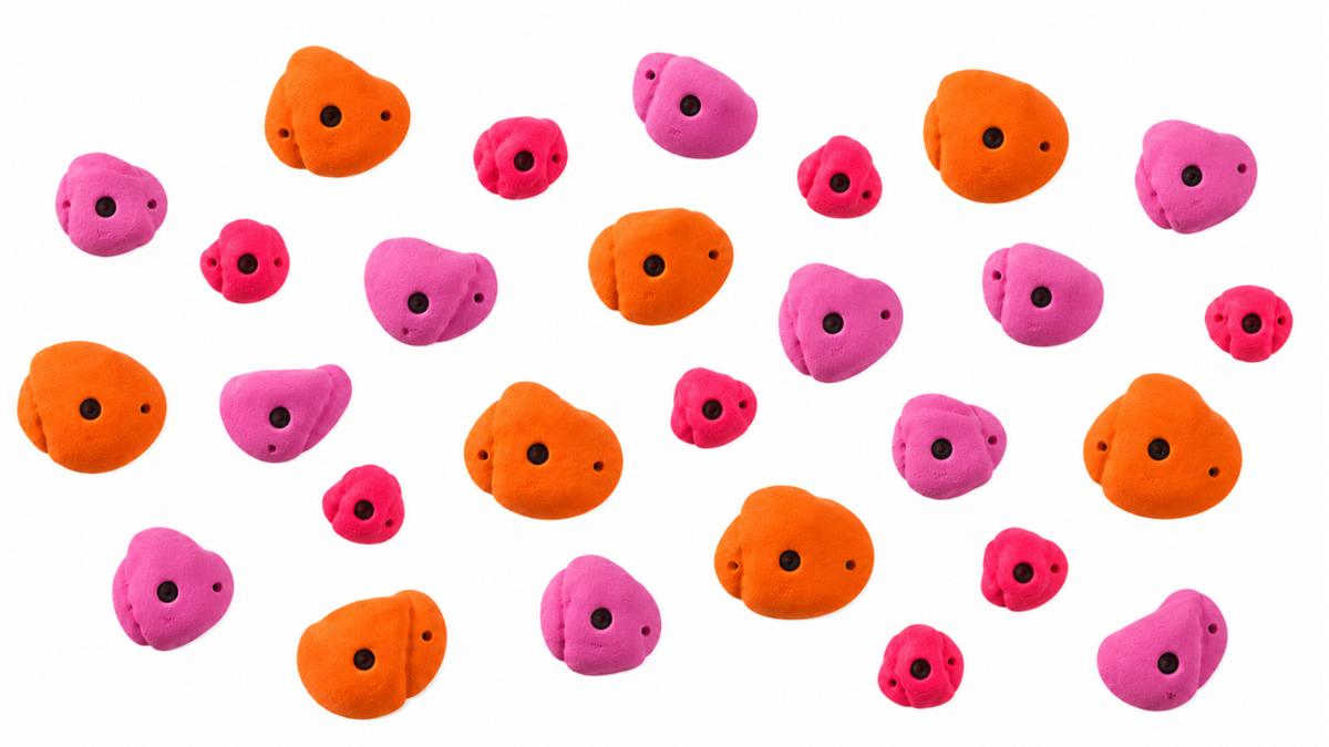 Climbing Wall Holds - Curated Set of 30