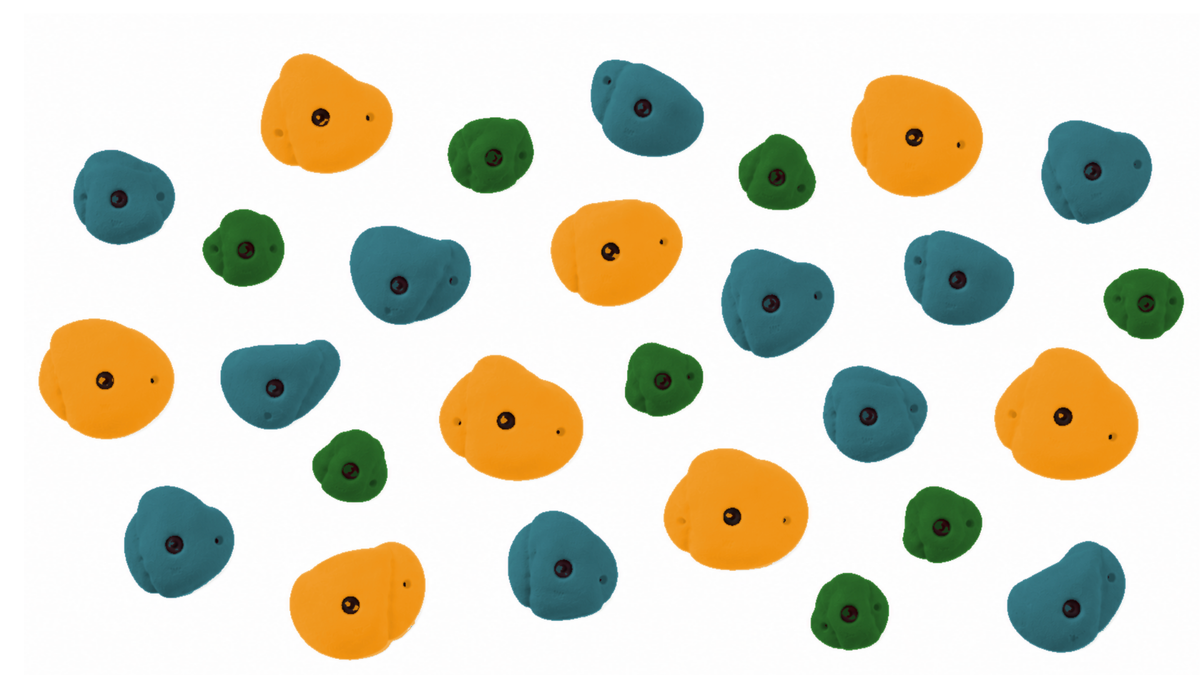 Climbing Wall Holds - Curated Set of 30
