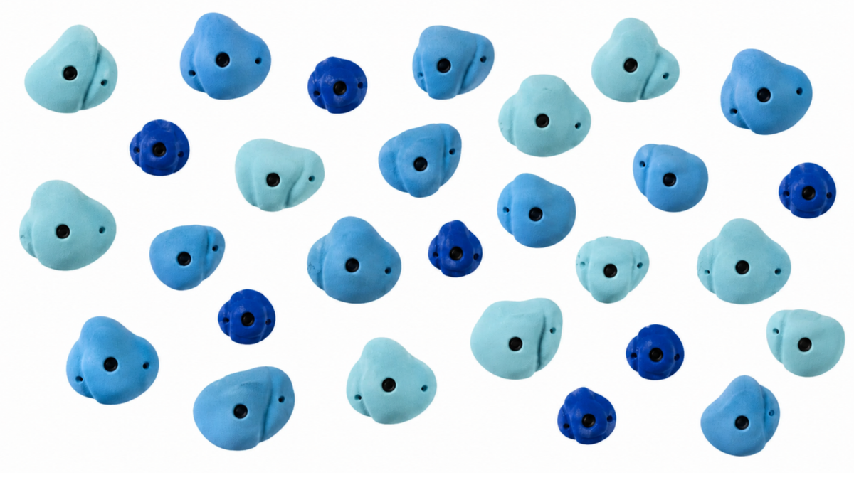 Climbing Wall Holds - Curated Set of 30