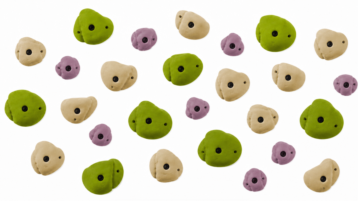 Climbing Wall Holds - Curated Set of 30