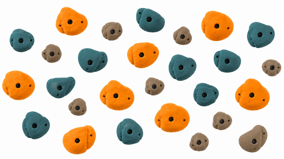 Climbing Wall Holds - Curated Set of 30