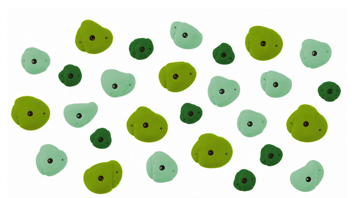 Climbing Wall Holds - Curated Set of 30
