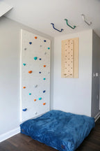 Climbing Panel