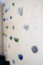 Climbing Panel