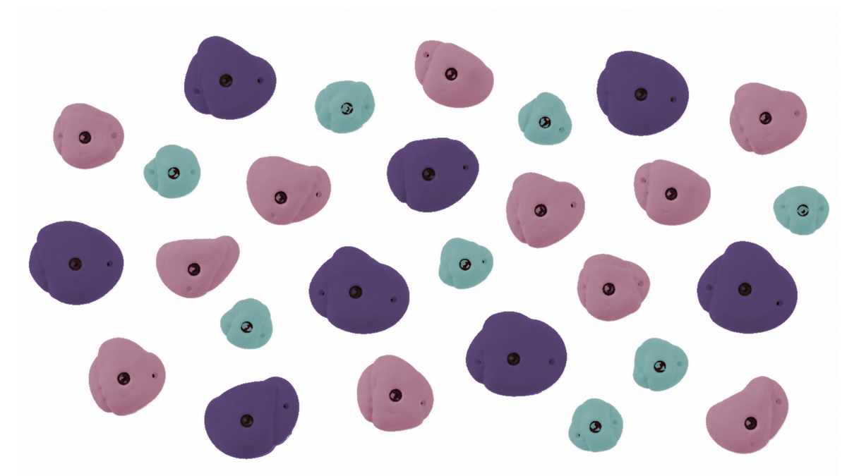 Climbing Wall Holds - Curated Set of 30