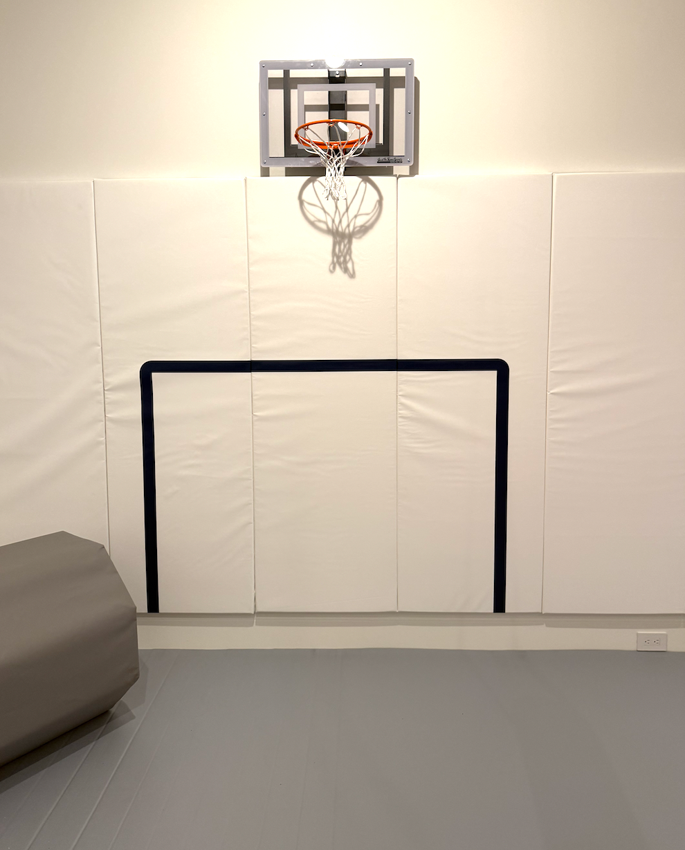 Padded Wall with Soccer Goal