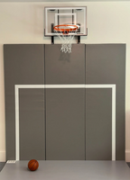 Padded Wall with Soccer Goal