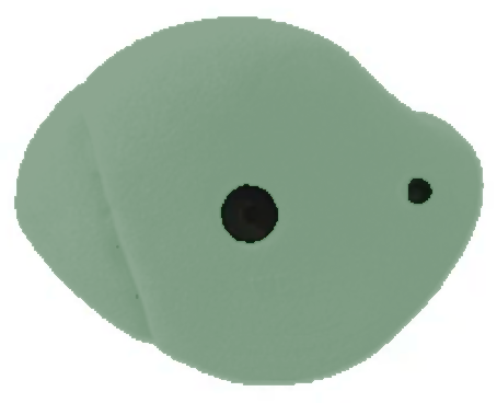 Kids Climbing Wall Holds | Medium Jugs | 10-Pack