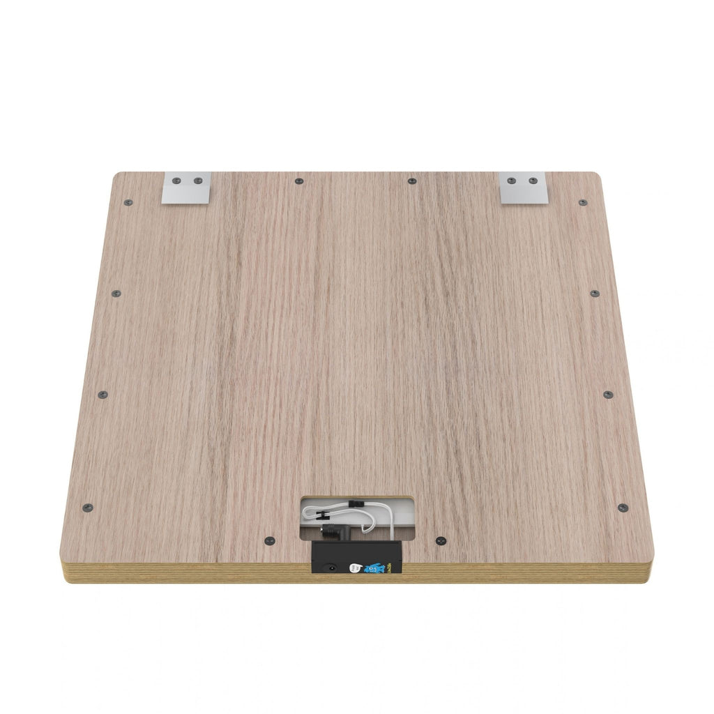 Back of LiteZilla Mini showing wall-mounting hardware and power connection