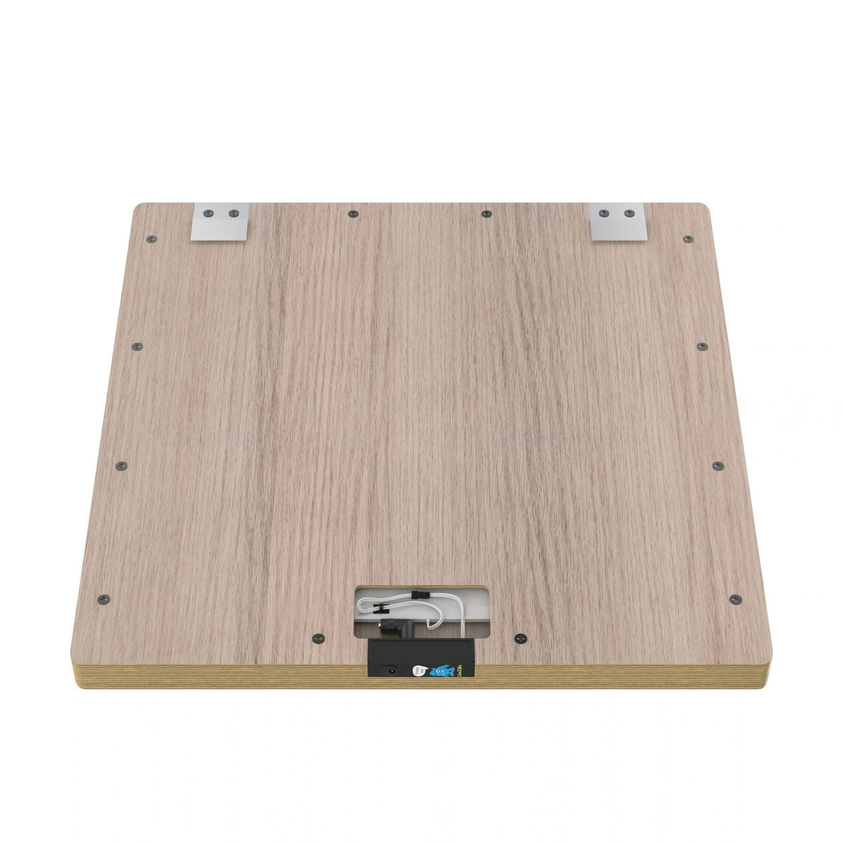 Back of LiteZilla Mini showing wall-mounting hardware and power connection